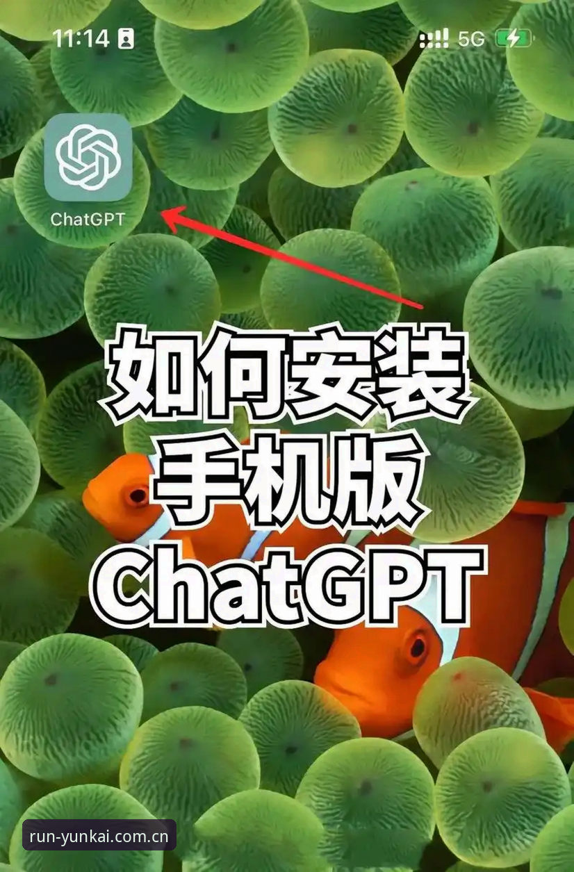 揭秘云开体育赛事推送安装教程：三步搞定实时数据追踪，足球迷必备方案